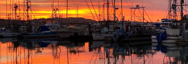 Bodega Bay harbor at sunset