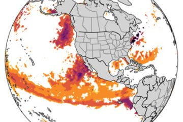 New Global Forecasts of Marine Heatwaves Foretell Ecological and Economic Impacts