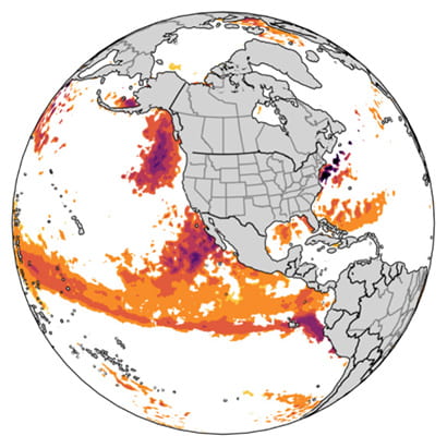 New Global Forecasts of Marine Heatwaves Foretell Ecological and Economic Impacts