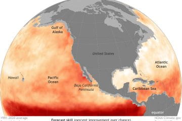 Today’s Seasonal Climate Models Can Predict Ocean Heat Waves Months In Advance