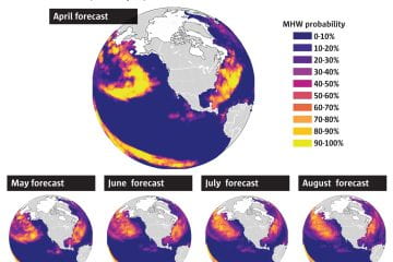 A First As The World Warms: New Forecasts Could Help Predict Marine Heat Waves
