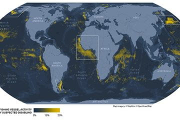 Global analysis shows where fishing vessels turn off their identification devices