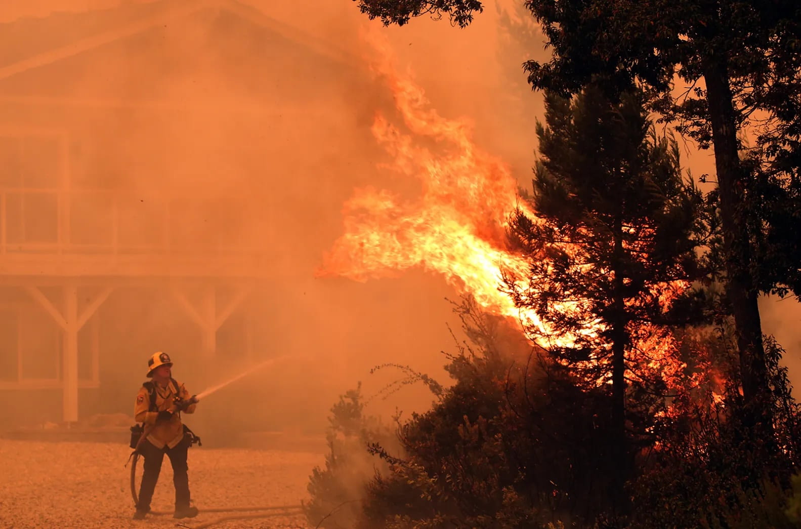 UC Santa Cruz researchers study impacts of CZU wildfires on local streams